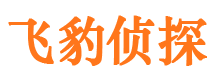 平安捉小三公司